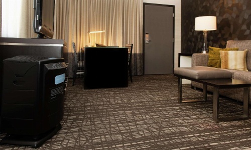 Embassy Suites by Hilton Las Vegas image 27